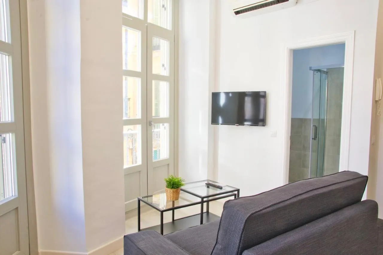 Malagaurbanrooms - City View Malaga